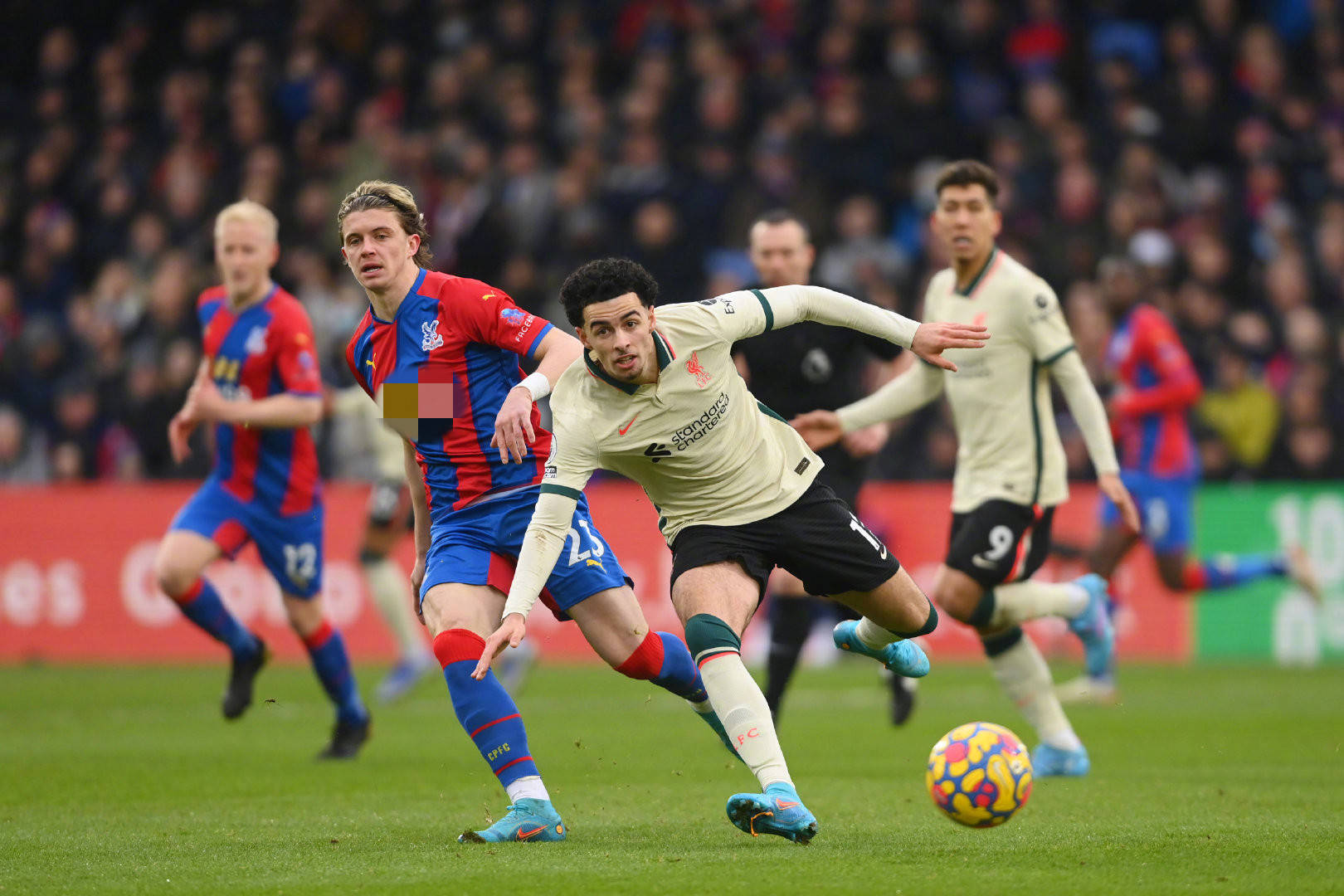 质疑与同情 质疑与同情